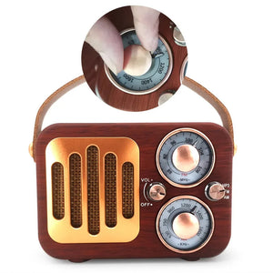 EchoWave Retro Radio And Portable Bluetooth Speaker Vista Shops