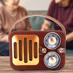 EchoWave Retro Radio And Portable Bluetooth Speaker Vista Shops