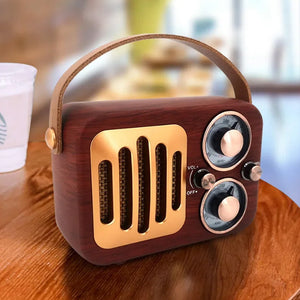 EchoWave Retro Radio And Portable Bluetooth Speaker Vista Shops