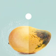 Load image into Gallery viewer, FreshZone USB Refrigerator Deodorizer