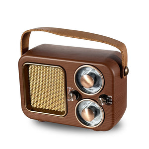 EchoWave Retro Radio And Portable Bluetooth Speaker Vista Shops