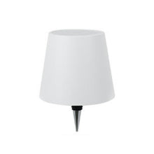 Load image into Gallery viewer, Napa Glow LED  Ambient Wine Bottle Lamp Instant And Rechargeable