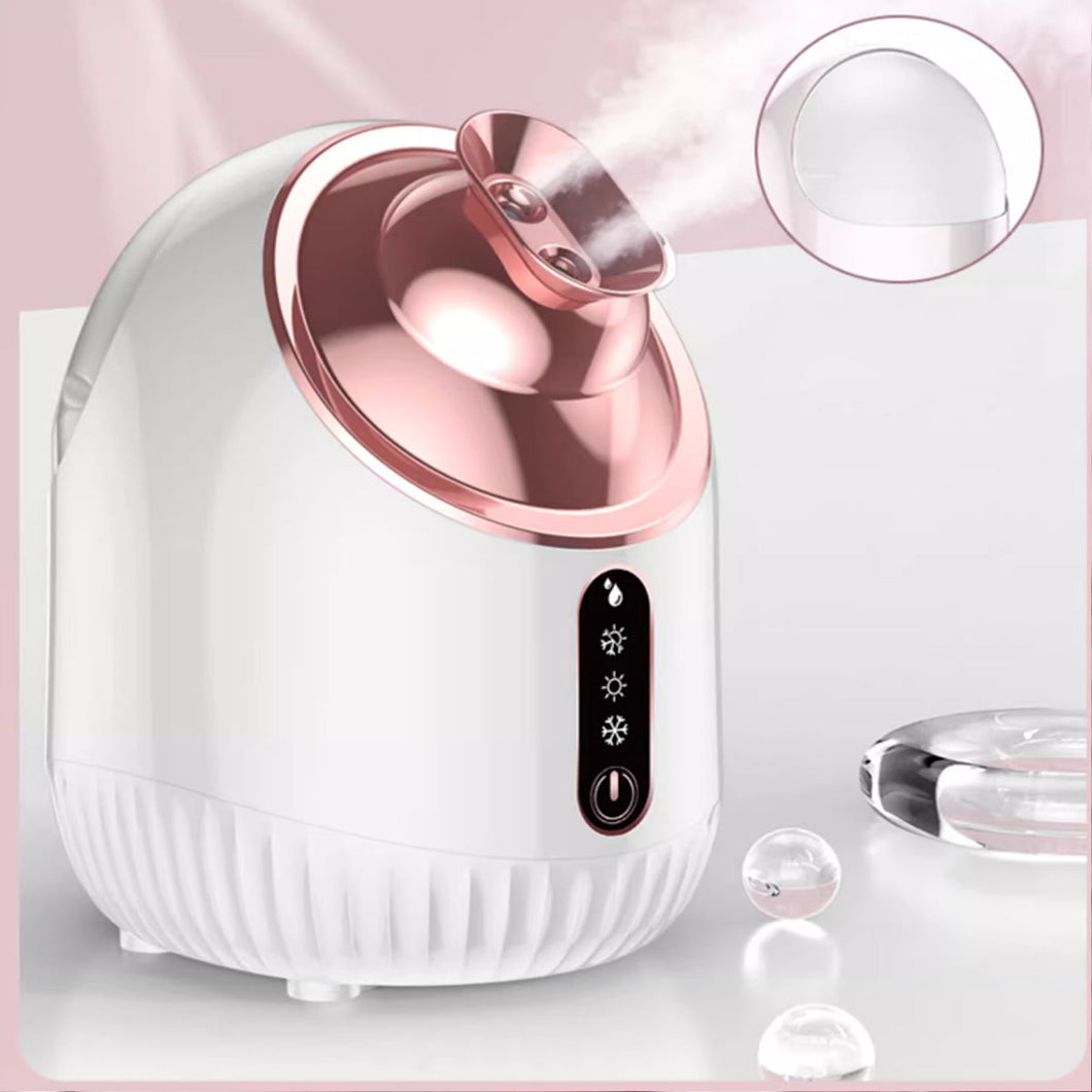 SteamCool Duo Hot And Cold Double Spray Facial Hydration And Pore Refinement Vista Shops